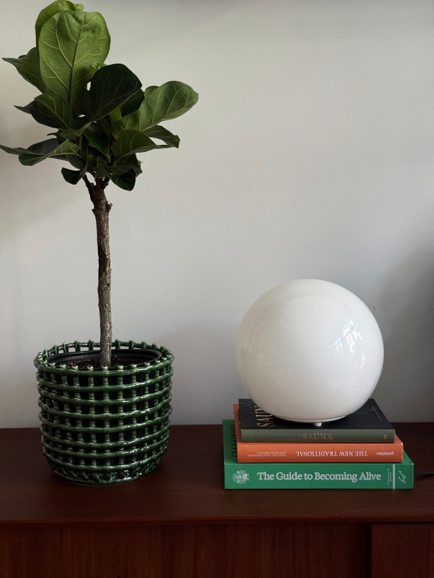Fiddle leaf fig in woven green pot