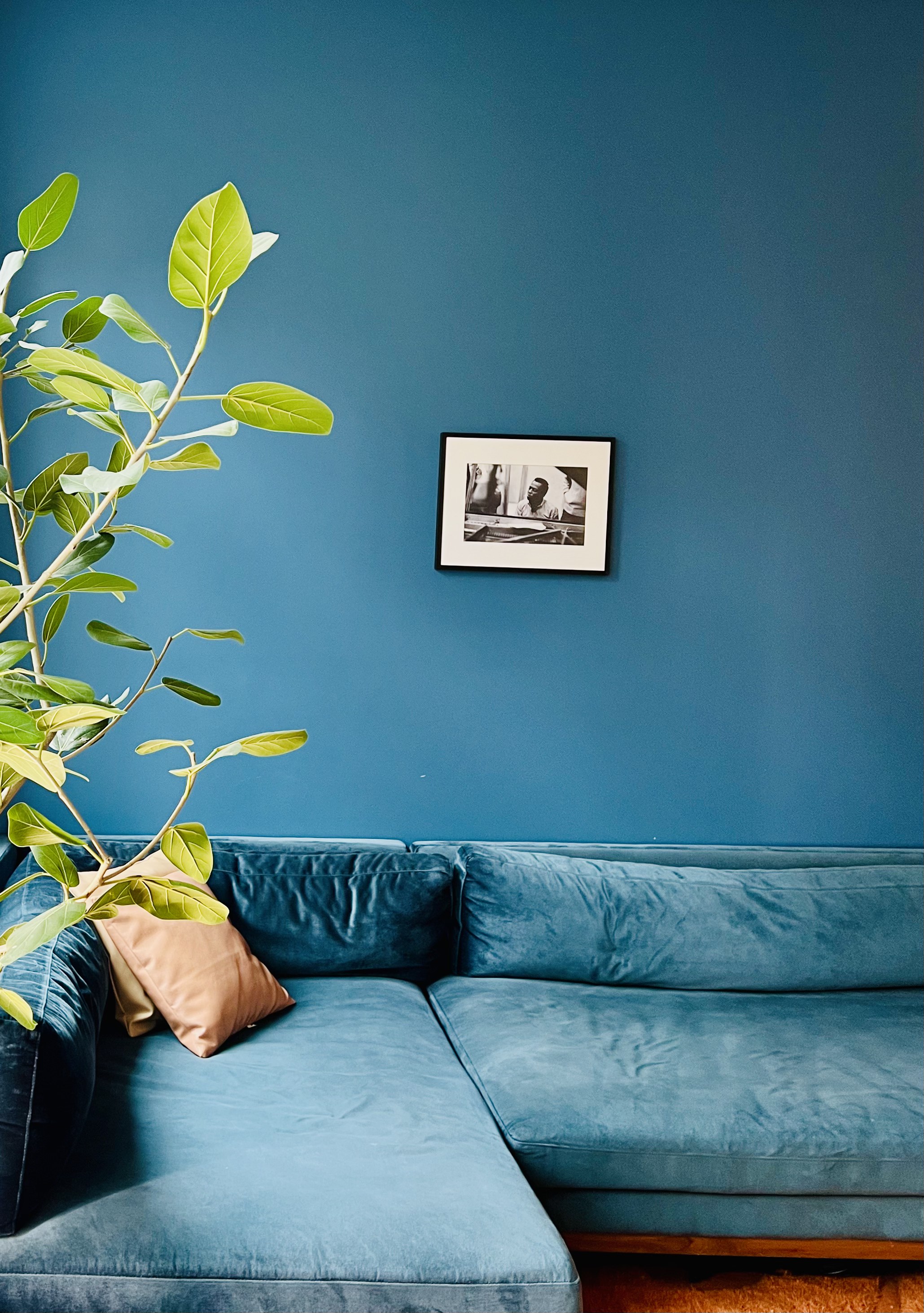 Couch area detail