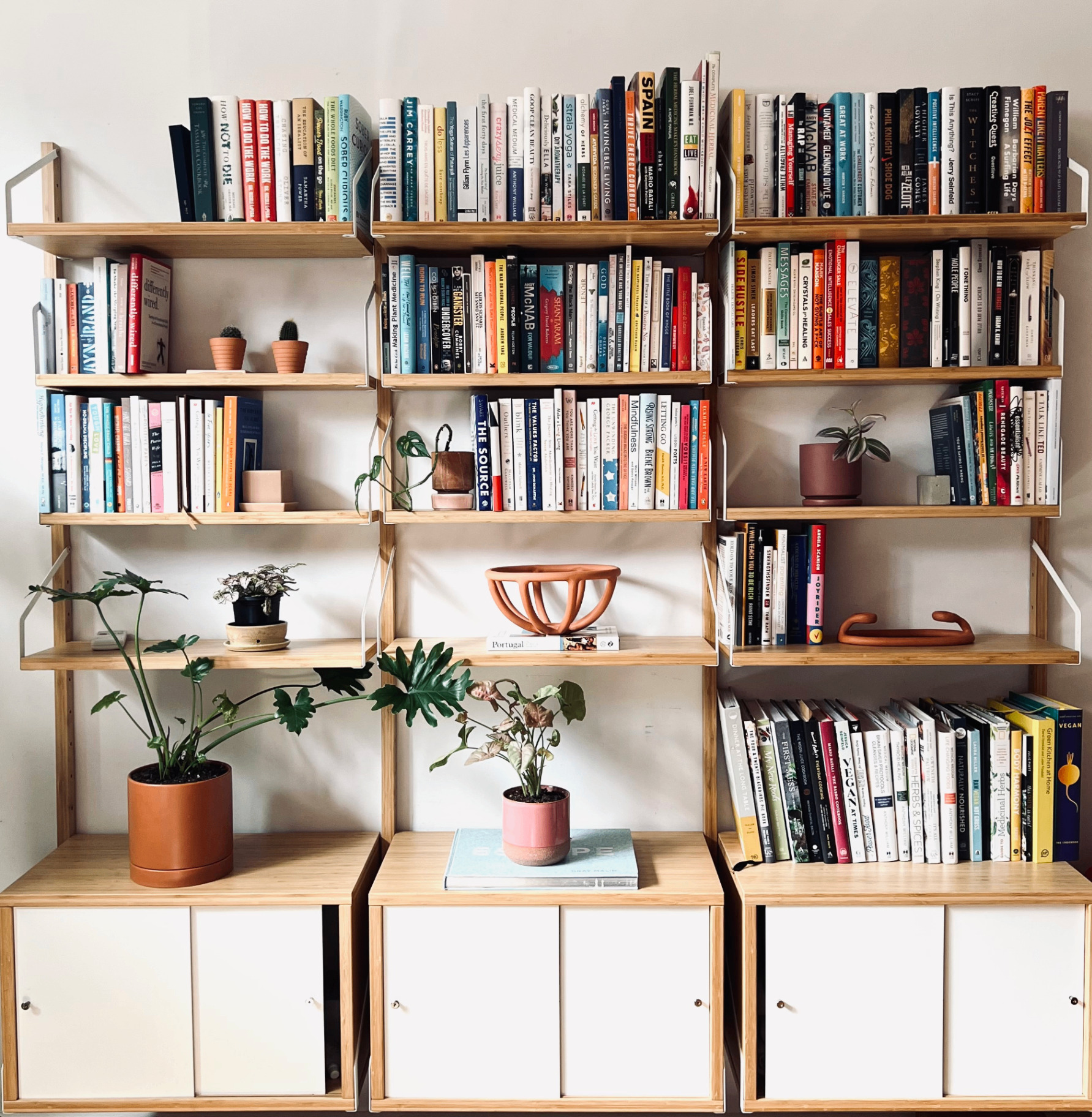 Bookshelves with plants